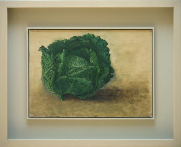 Carolyn Sergeant – Cabbage