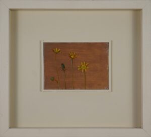 Carolyn Sergeant – Celandines and a Dandelion Bud