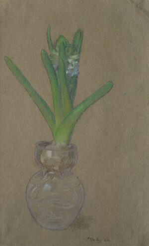 Jehan Daly – Hyacinth in a Glass Jar