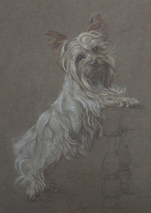 Ita Phobie Rennie – Portrait of a Yorkshire Terrier