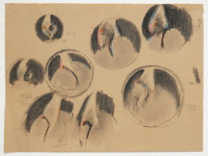 John Sergeant – Studies for “Candle Flame through a Magnifying Glass”
