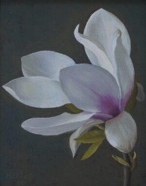 Gerald Norden – Magnolia Flower