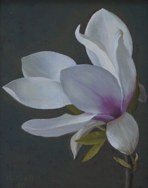 Gerald Norden – Magnolia Flower