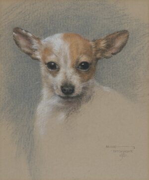 Elizabeth Bridge – ‘Patchwork’ A Chihuahua