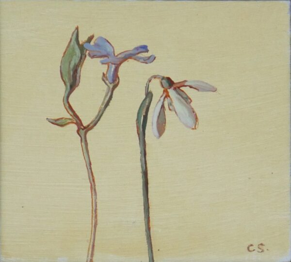 Carolyn Sergeant – Periwinkle & Snowdrop