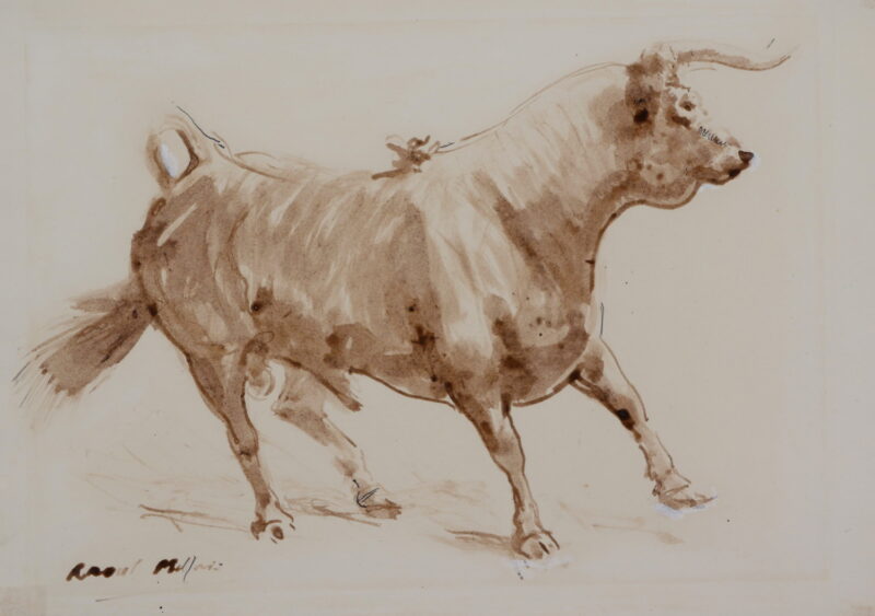 Raoul Millais – Study of a Spanish Bull