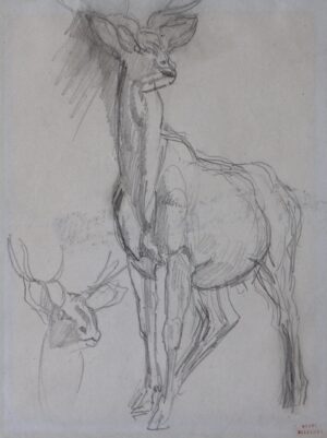 Louis Antoine Léon Riesener – Study of a Stag