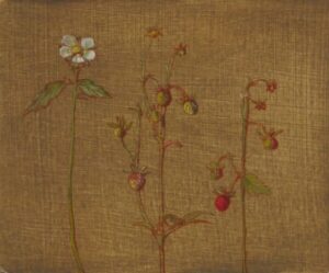 Carolyn Sergeant – Wild Strawberries