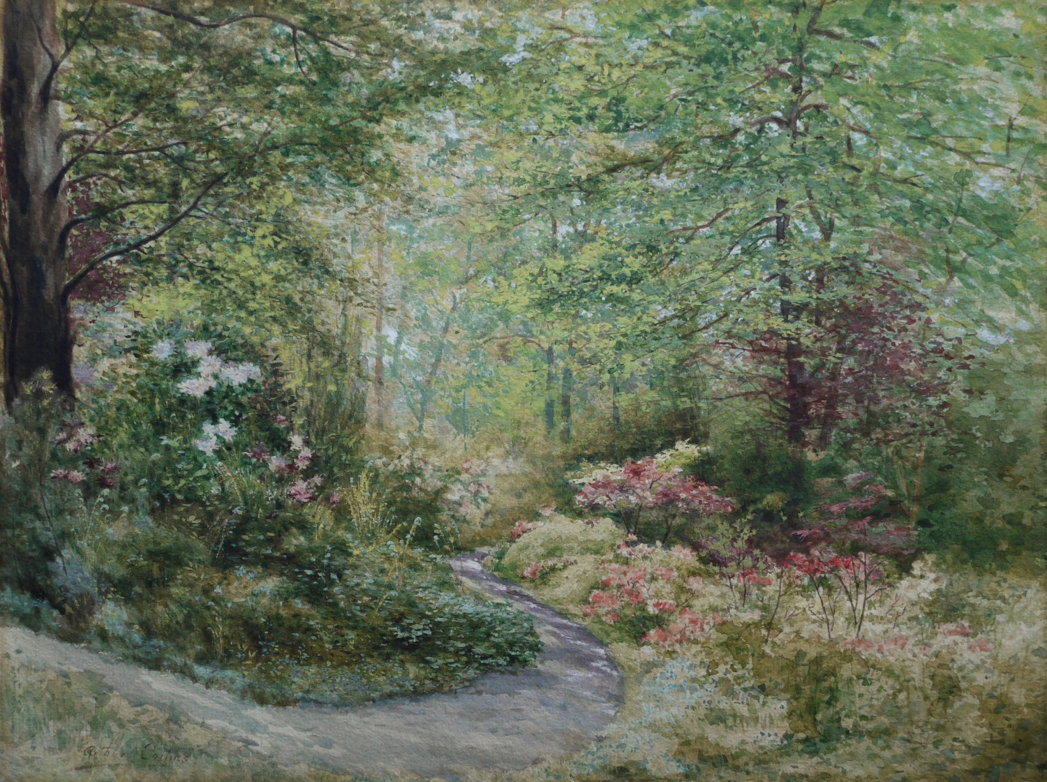 Arthur Collins – A Woodland Path