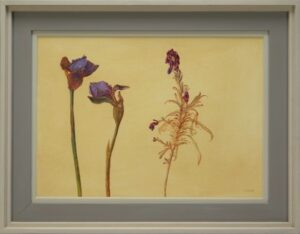 Carolyn Sergeant – Irises & Wallflower