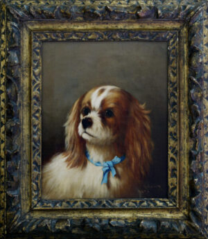 E. Mondy – Cavalier King Charles Spaniel