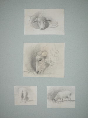 James Smetham – Studies of Sheep 