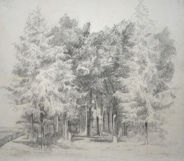 John Sell Cotman – Study of a Clump of Trees