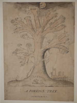 British Satirical School (late 18th Century) – A Foreign Tree / Subitarius