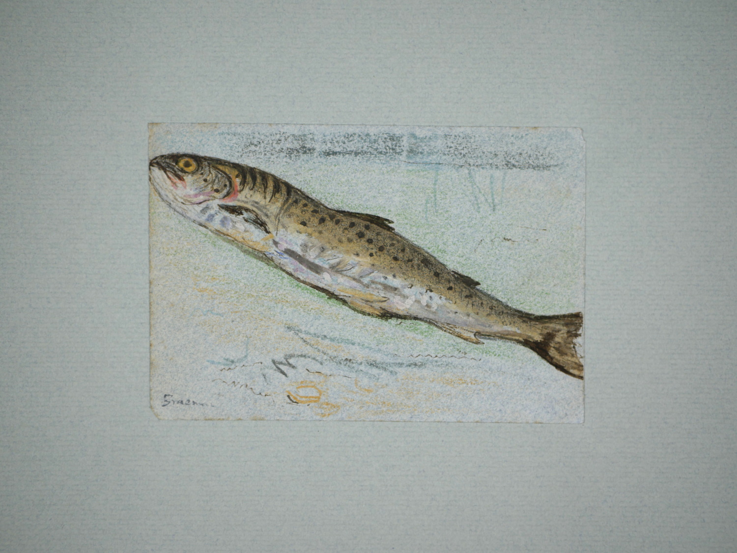 James Smetham – Trout