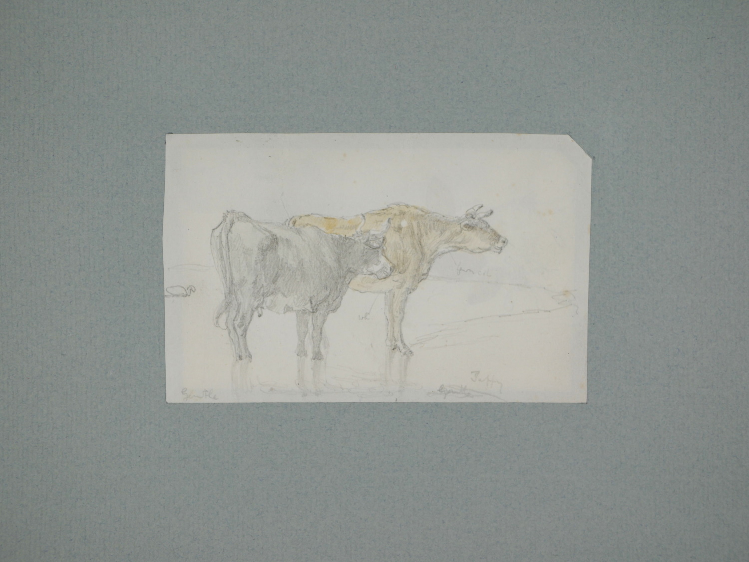 James Smetham – Two Short Horn Cows