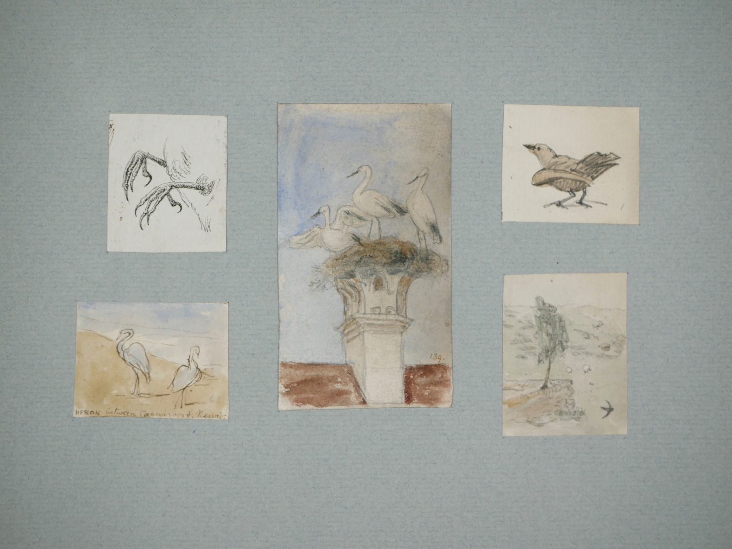 James Smetham – Studies of Birds