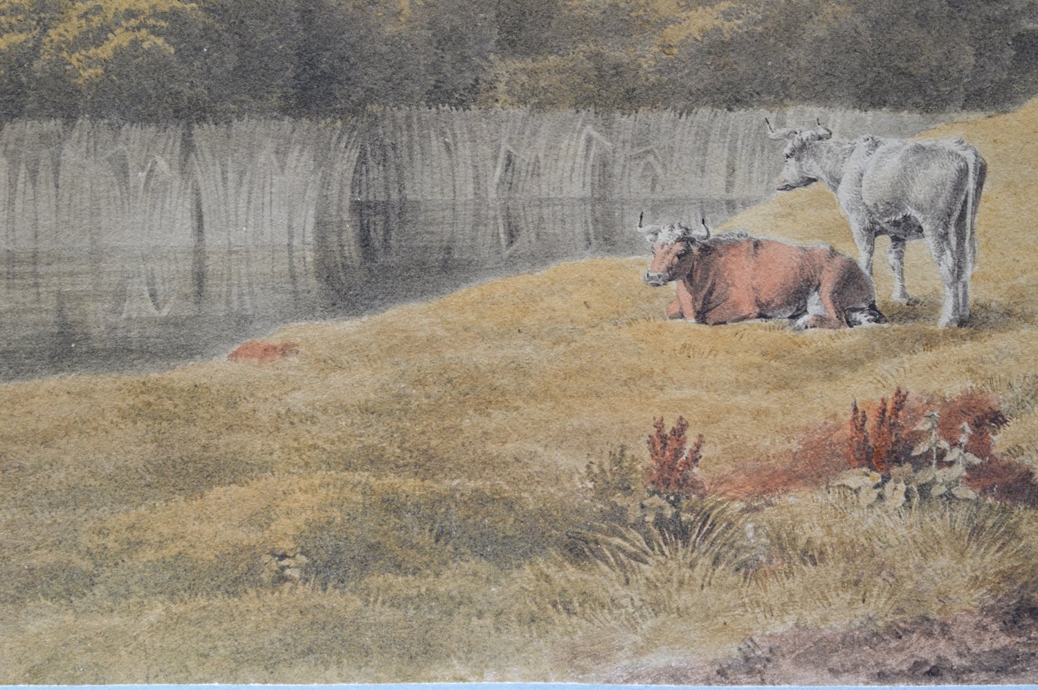 David Thomson - A View of St. Paul’s Cathedral from Lambeth Marsh 1807 - Image 6