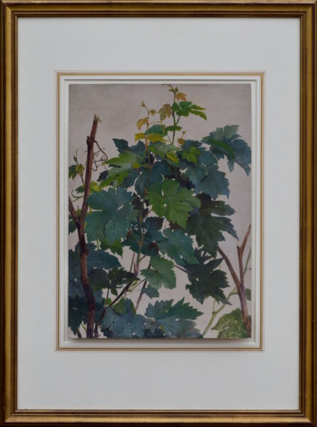 Carl Haag – Vine Leaves