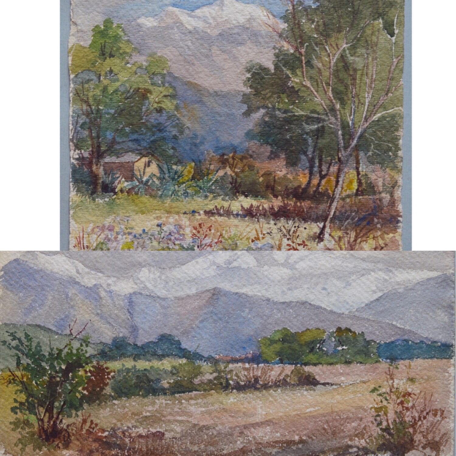 Gertrude Ellen Burrard – Himalayan Landscapes c.1905