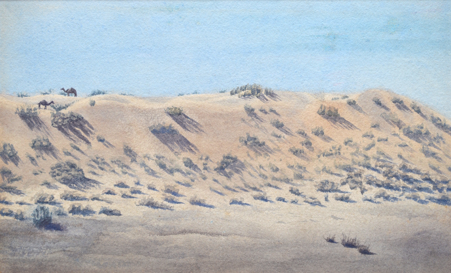 Colonel, Sir Sidney Gerald Burrard 7th Baronet – Camels on a Hill, India c.1893