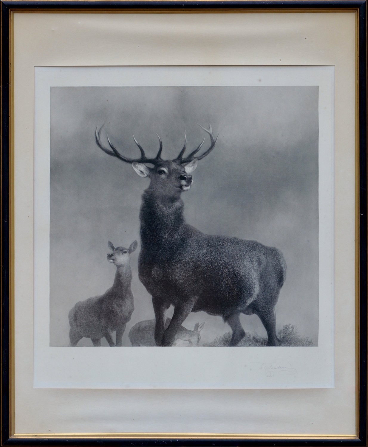 Thomas Landseer – After Sir Edwin Landseer RA – “The King of the Forest”