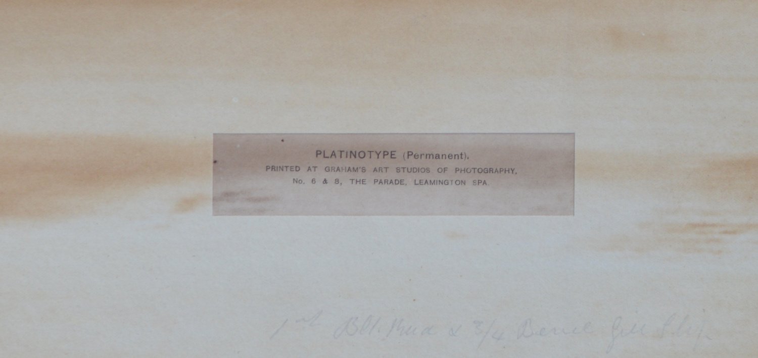 Platinotype print - Emperor Napoleon - Image 5