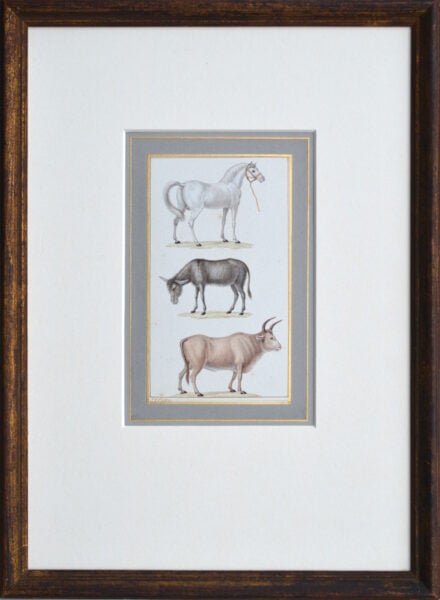 Jean-Gabriel Prêtre – A Horse, Donkey and a Buffalo