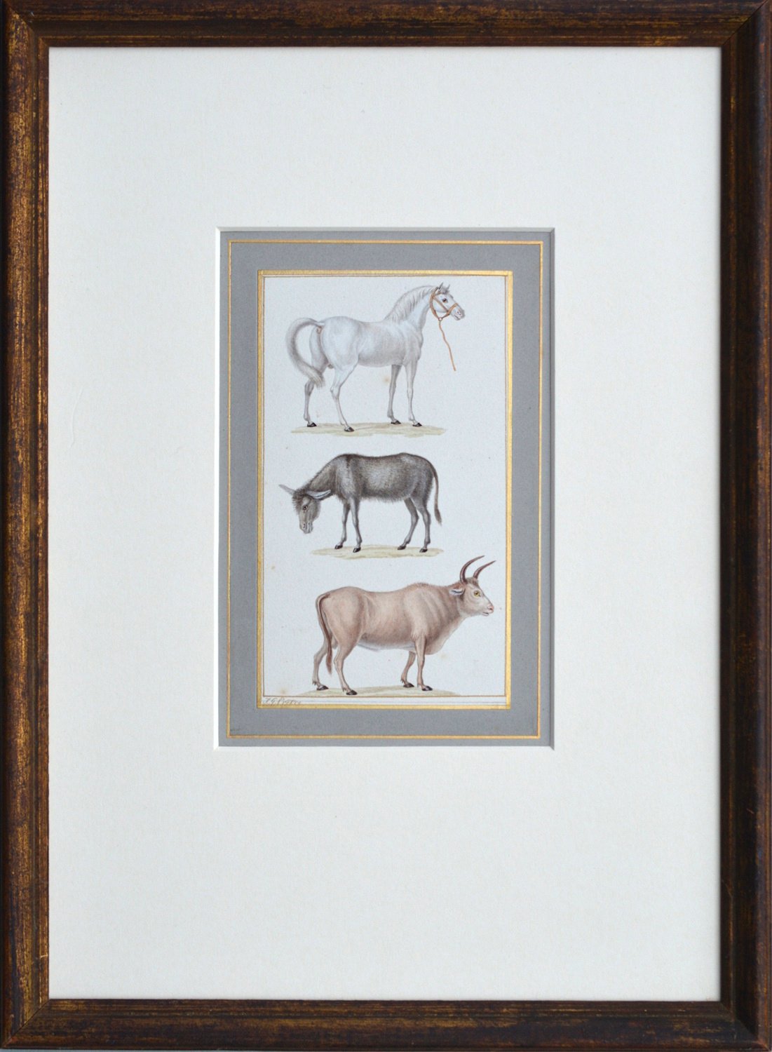 Jean-Gabriel Prêtre – A Horse, Donkey and a Buffalo