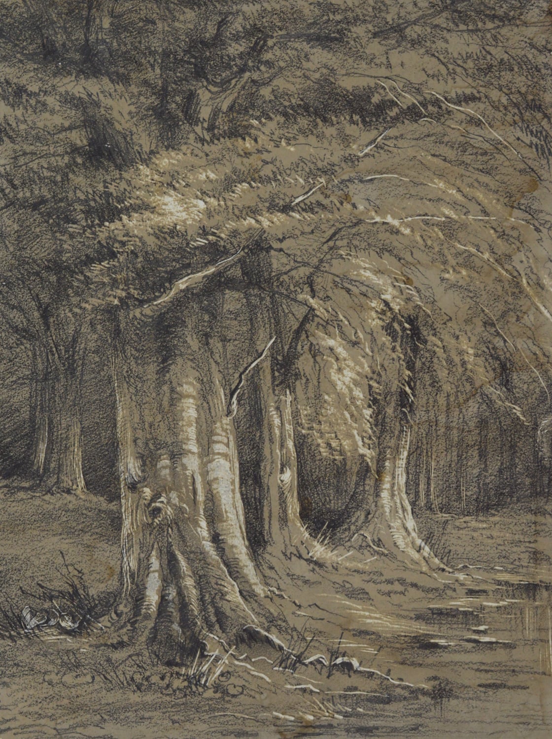 Marie S. Cooper - An extensive collection of 127 drawings and watercolours - Image 6