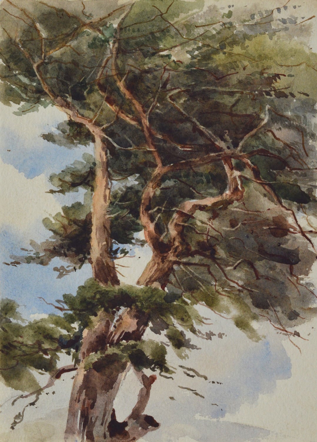 Marie S. Cooper - An extensive collection of 127 drawings and watercolours - Image 8