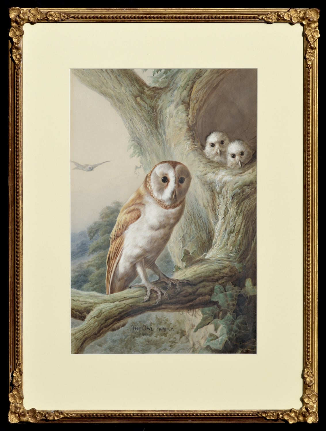 Harry Bright – The Owl Family 1883