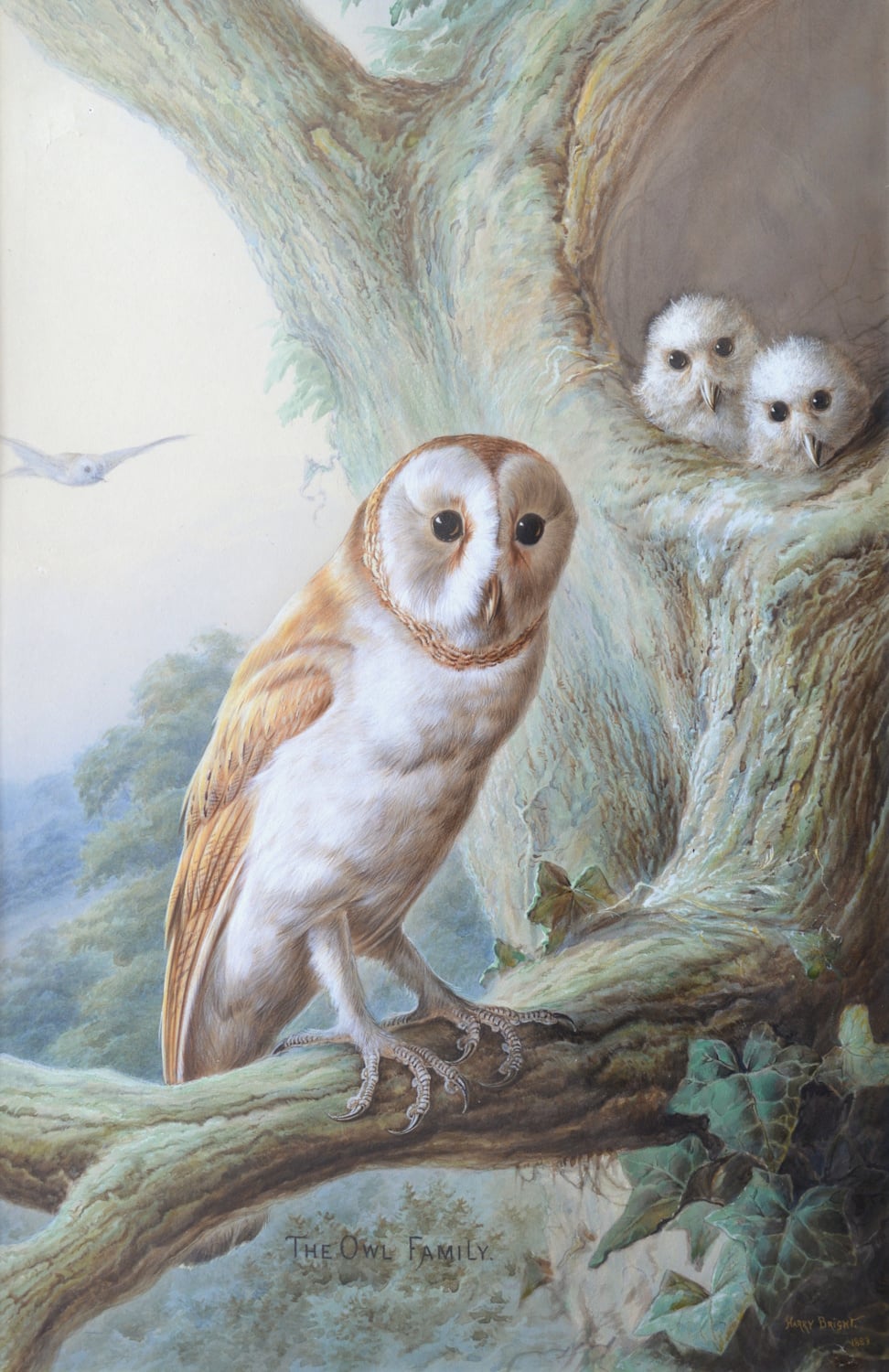 Harry Bright - The Owl Family 1883 - Image 2