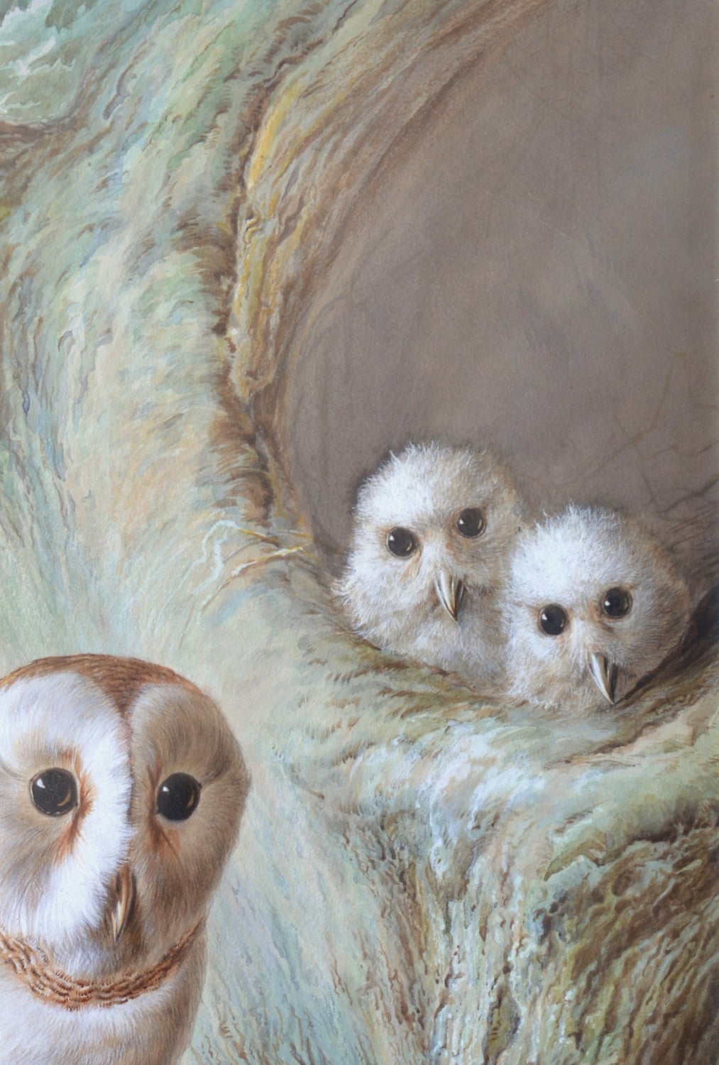 Harry Bright - The Owl Family 1883 - Image 4